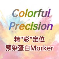 精 “彩” 定位：蛋白 Marker 助力蛋白質研究