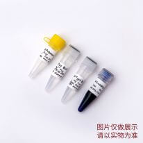 PCR開源教學試劑盒 P8031 P8032