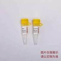Power逆轉錄酶 R3011 R3012