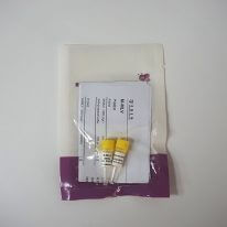 RT-kit(逆轉錄試劑盒)(R1011-R1012)