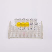 V5001 V5002 一(yī / yì /yí)步法核酸檢測試劑盒 one-step RT-qPCR Kit