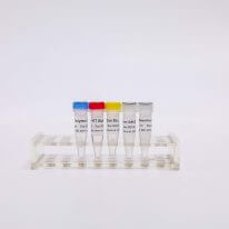 RT-PCR Mix for qPCR(預混型逆轉錄試劑盒)R1031