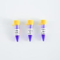 PCR Mix升級丨趁“熱啓動”，體驗升級