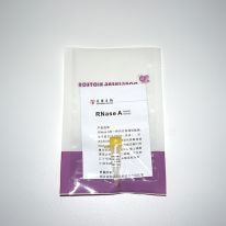 内切核糖核酸酶 RNase A(N9041-N9042)