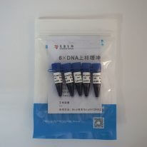 6×DNA上(shàng)樣緩沖液(M9041)