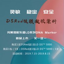 東盛上(shàng)新丨DSRed無毒核酸凝膠染料/LD DNA Marker
