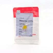 RNase-free dNTPs（R2051） dATP、dTTP、dCTP、dGTP的(de)等摩爾混合物。