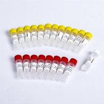 Multiplex Oligos 2 for Illumina K002-B(192rxns)