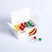Fast DNA Library Prep Kit快速DNA建庫試劑盒 K001-A K001-B