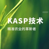 技術分享丨KASP:精準農業的(de)革新者