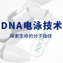 技術分享丨DNA電泳技術:探索生命的(de)分子(zǐ)指紋