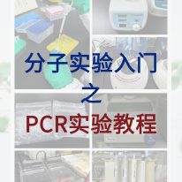 分子(zǐ)小白入門必學,完整的(de)PCR實驗教程